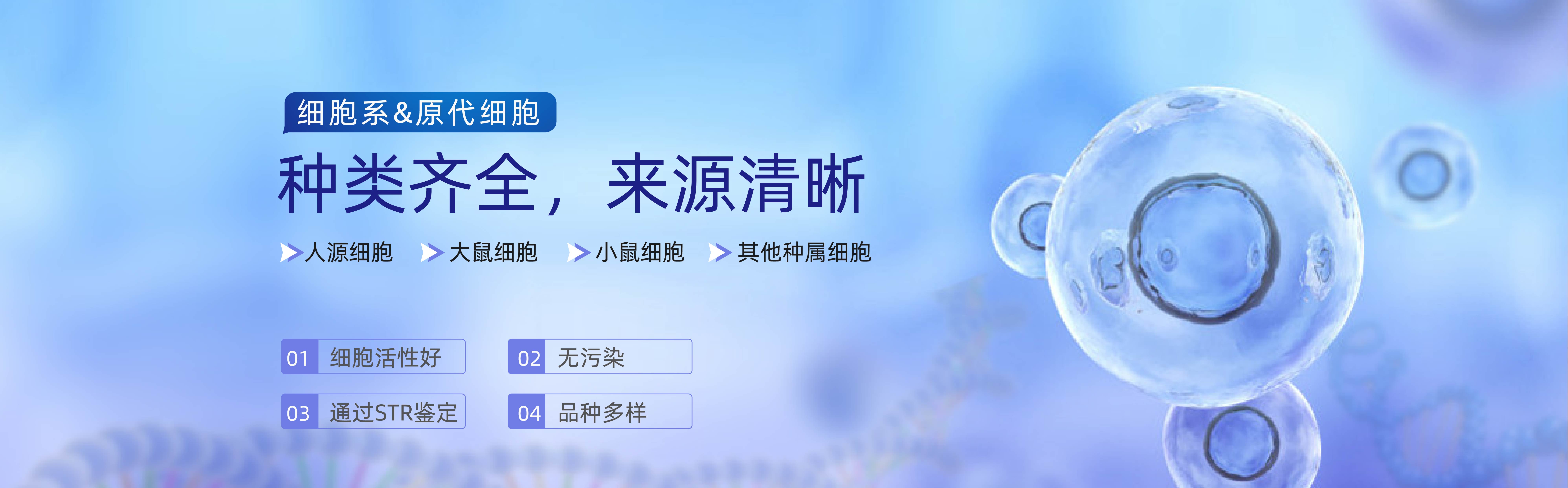 之前广告